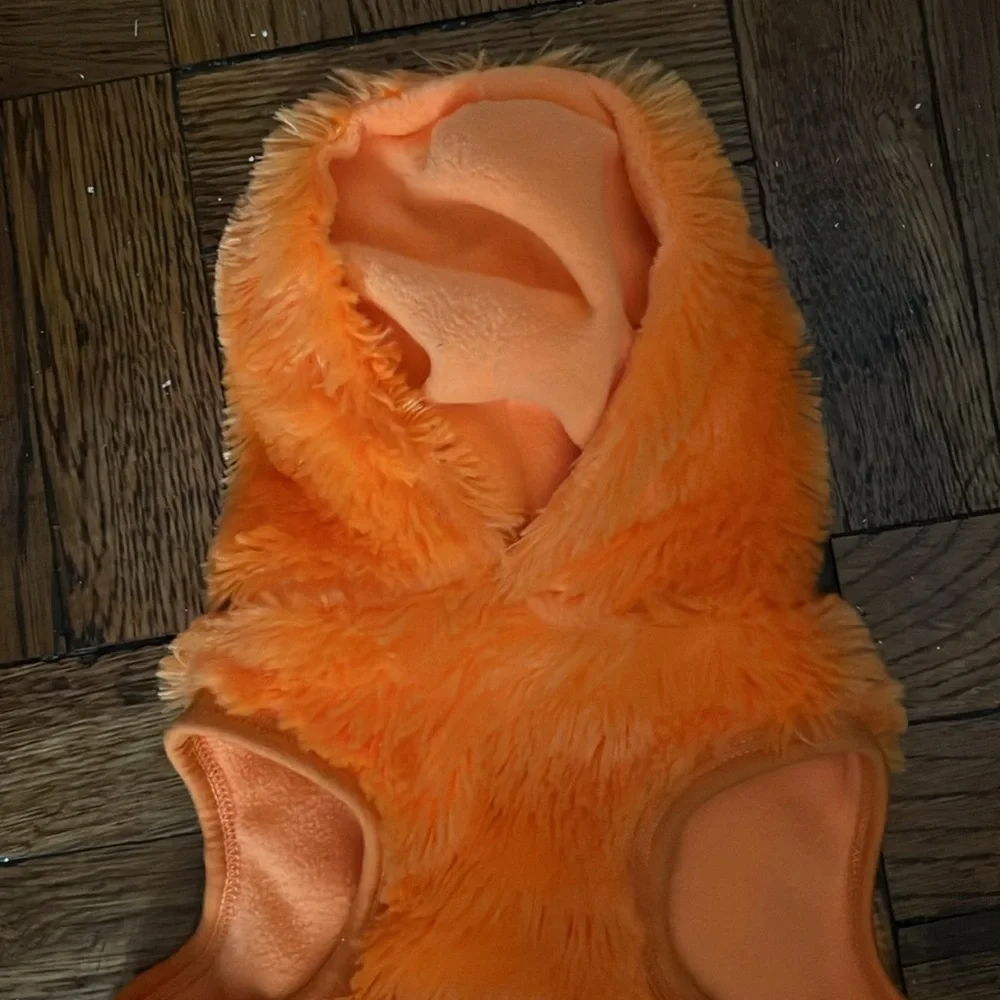 pumpkin costume size; M fits a shihpoo